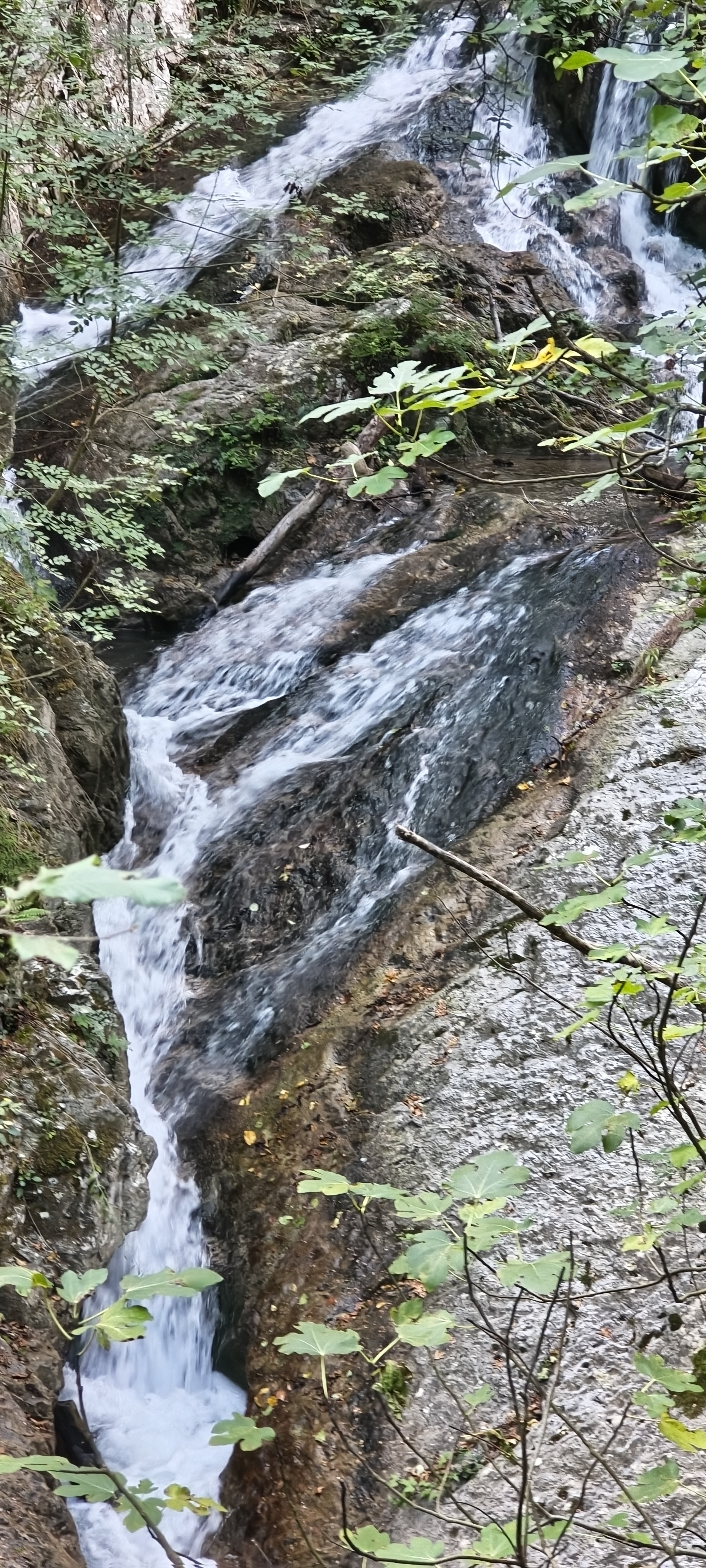 IMG 20261015 153348201 HDR