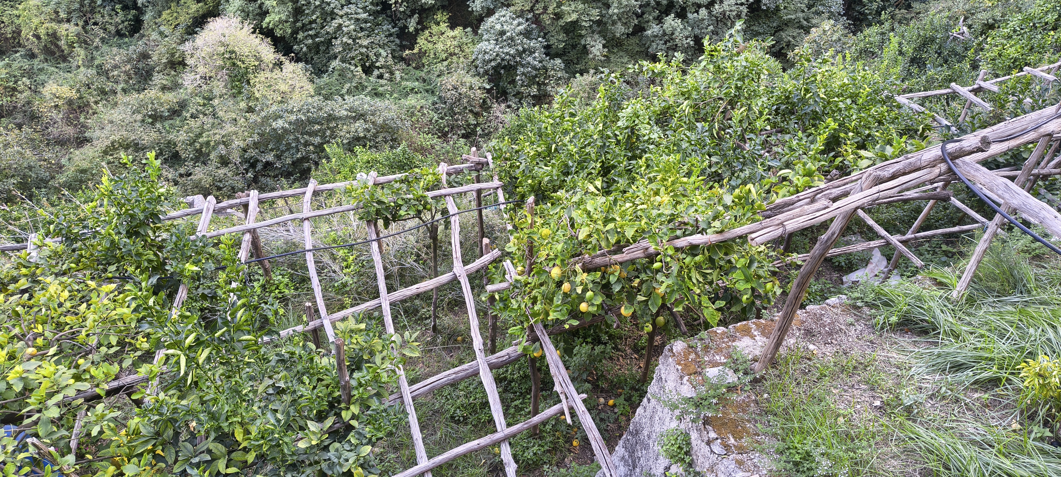 IMG 20261015 155135788 HDR