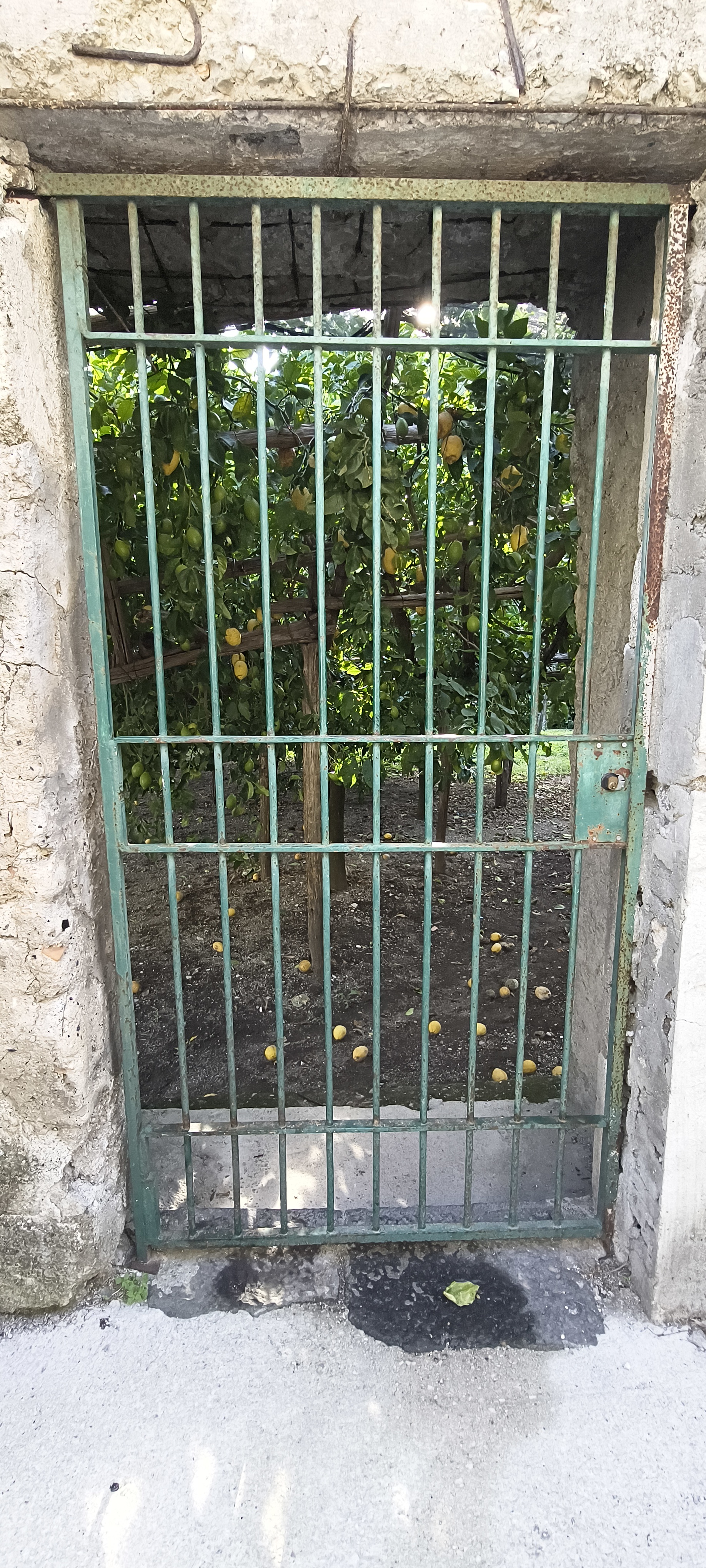 IMG 20261015 155741329