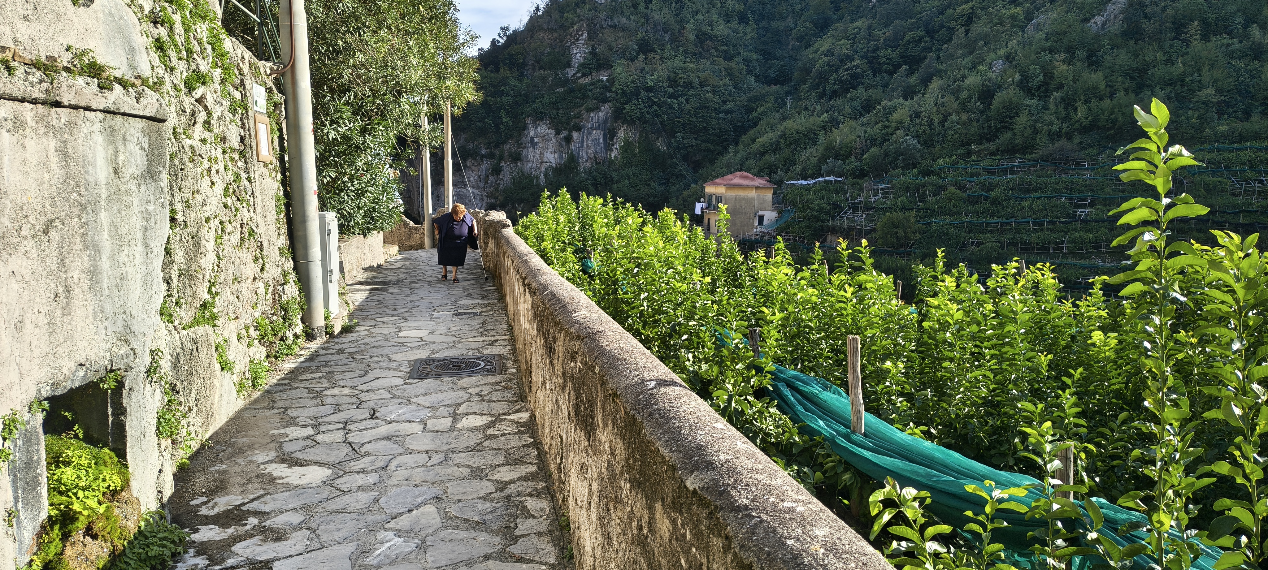 IMG 20261015 155818907 HDR