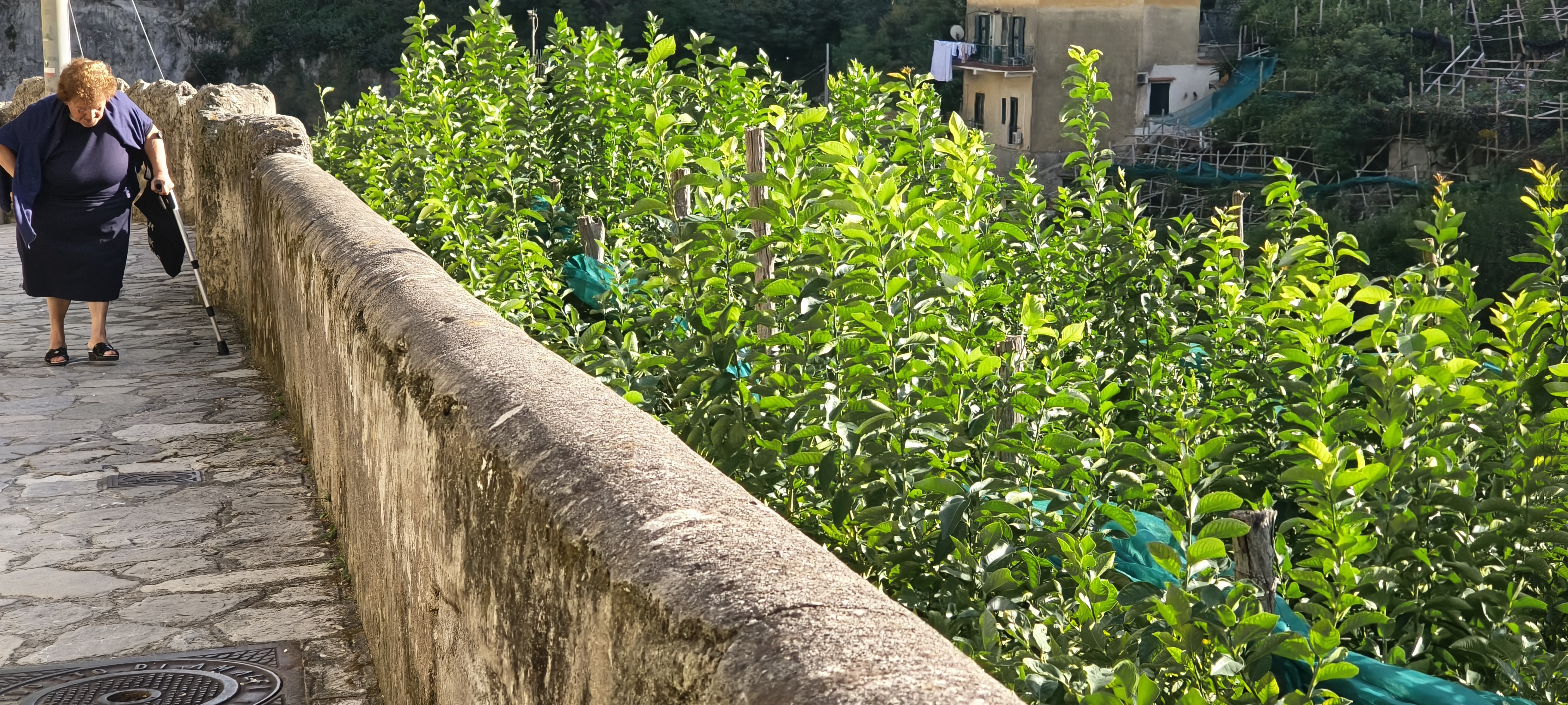 IMG 20261015 155820186 HDR