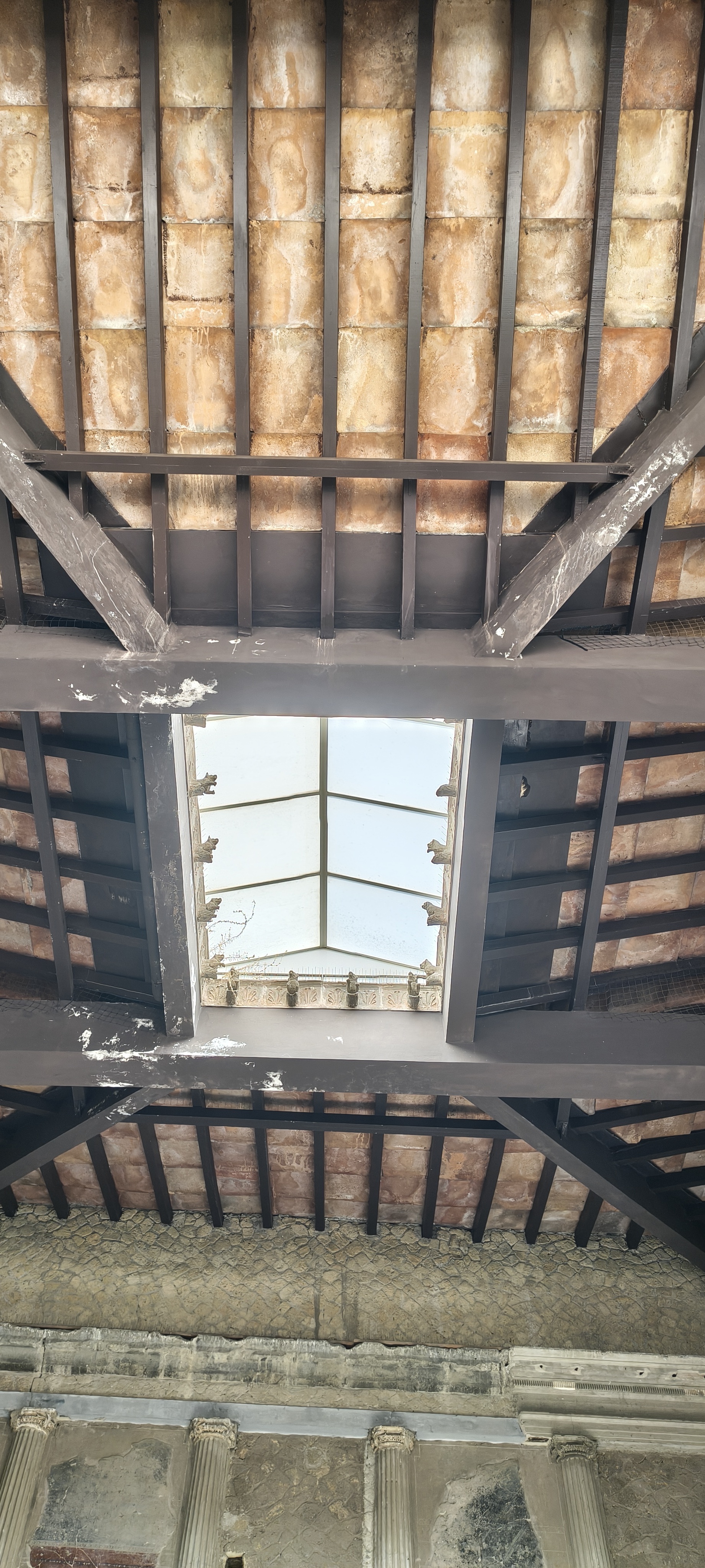 IMG 20261017 121228258 HDR