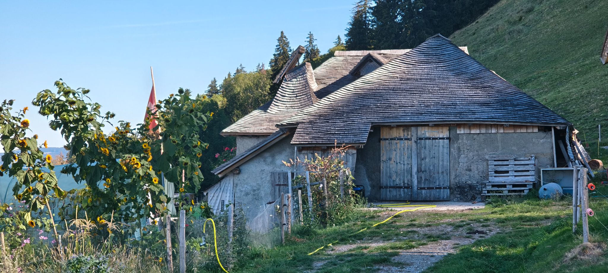 IMG 20260927 110329409 HDR