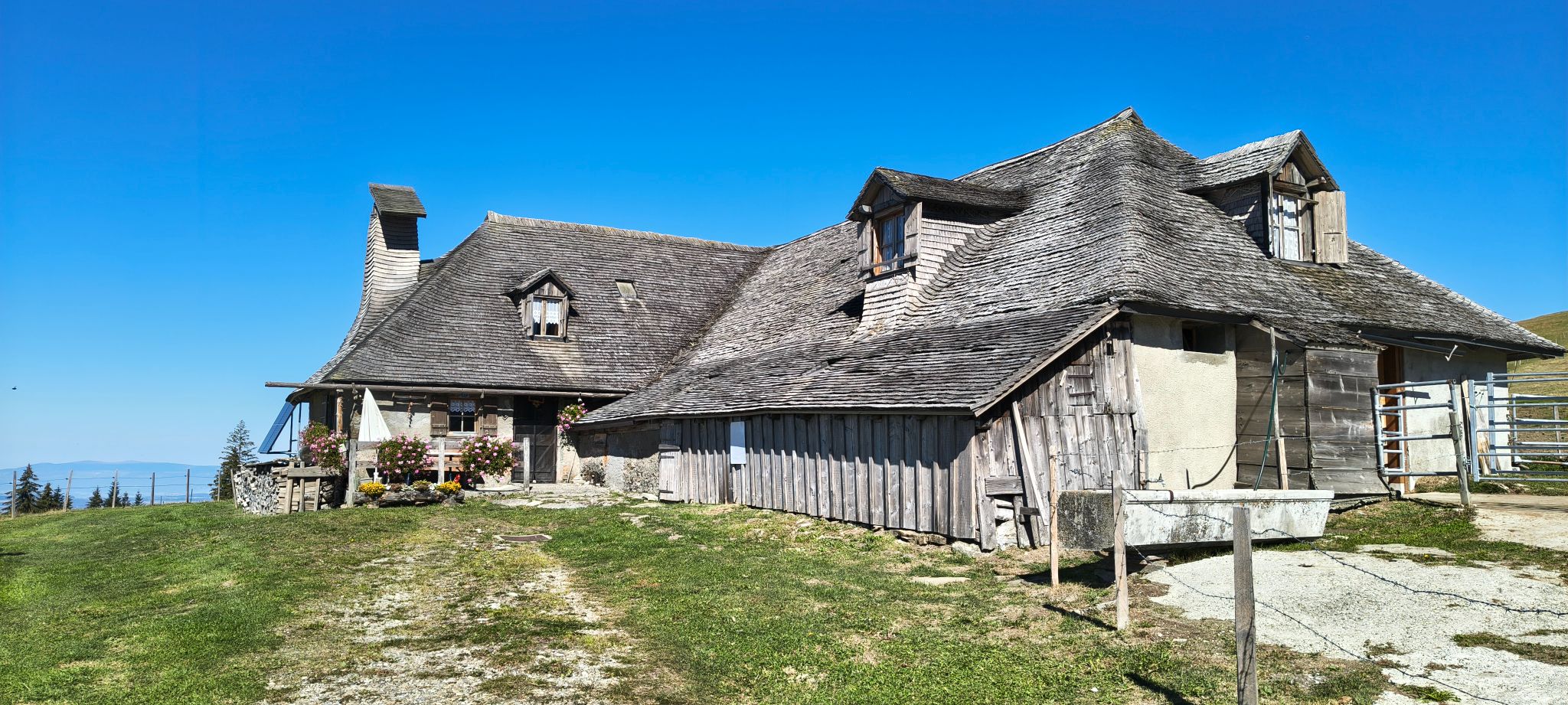 IMG 20260927 121231759 HDR