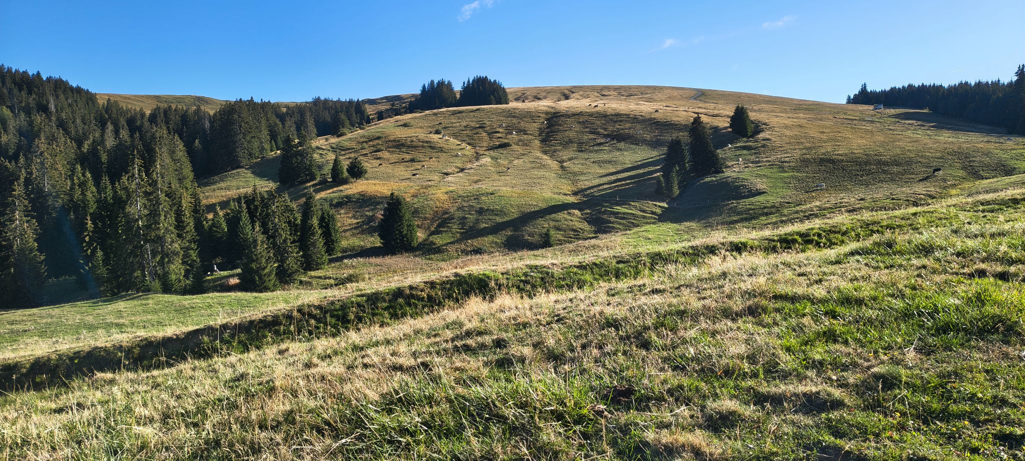 IMG 20260927 170150058 HDR