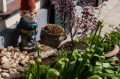 Date: Sunday, May 05, 2013 Focal length: 70.0 Shutter: 1/500 Aperture: F/10.0 ISO: 200 