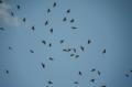 Video_MG_4253.jpg