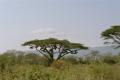 Ethiopia - 091.jpg