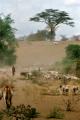 Ethiopia - 255.jpg