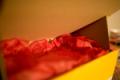 Video_MG_8593.jpg