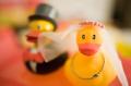 Video_MG_8586.jpg
