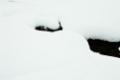 Date: Friday, December 23, 2011 