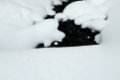 Date: Friday, December 23, 2011 