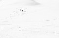 _MG_2247-2.jpg