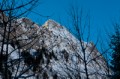 _MG_2169.jpg