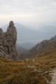 _MG_9551.jpg