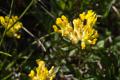 Print_MG_5935.jpg