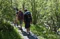 Print_MG_5904.jpg