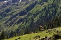 Print_MG_5910.jpg