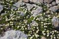 Print_MG_6247.jpg