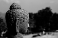 Date: mercredi, 27. juillet 2011 Camera: Canon Canon EOS 550D Focal length: 80.0 Shutter: 1/640 Aperture: F/5.0 ISO: 100 