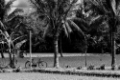 Date: mercredi, 27. juillet 2011 Camera: Canon Canon EOS 550D Focal length: 130.0 Shutter: 1/80 Aperture: F/10.0 ISO: 100 