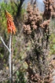 _MG_9073.jpg