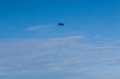 Date: Friday, October 26, 2012 Focal length: 68.0 Shutter: 1/1000 Aperture: F/4.5 ISO: 125 