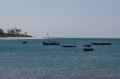 _MG_6715.jpg