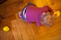 Date: Sunday, 18 October 2009 