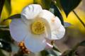 Video_MG_4000.jpg