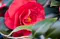 Video_MG_4018.jpg