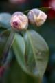Video_MG_4024.jpg