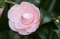 Video_MG_4042.jpg