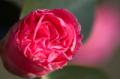 Video_MG_3960.jpg