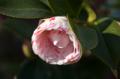 Video_MG_4055.jpg