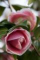 Video_MG_4076.jpg