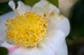 Video_MG_4084-Edit.jpg