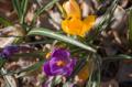 Video_MG_3963.jpg