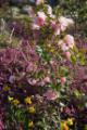 Video_MG_4123.jpg