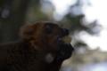 _MG_2521.jpg
