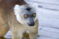_MG_2556.jpg