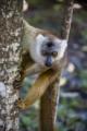 _MG_2566.jpg