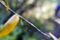 _MG_2578.jpg
