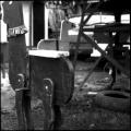 _MG_2860bis.jpg