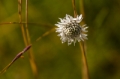 Date: Tuesday, April 02, 2013 Focal length: 220.0 Shutter: 1/2000 Aperture: F/5.6 ISO: 320 