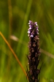 Date: Tuesday, April 02, 2013 Focal length: 28.0 Shutter: 1/500 Aperture: F/5.6 ISO: 400 