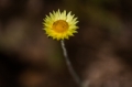 Date: Tuesday, April 02, 2013 Focal length: 300.0 Shutter: 1/1600 Aperture: F/5.6 ISO: 400 