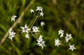 Date: Tuesday, April 02, 2013 Focal length: 210.0 Shutter: 1/640 Aperture: F/5.6 ISO: 400 