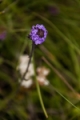 Date: Tuesday, April 02, 2013 Focal length: 235.0 Shutter: 1/500 Aperture: F/5.6 ISO: 200 